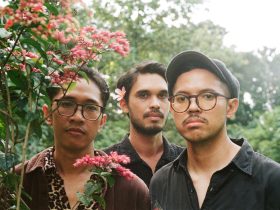 Babon: Portal Bernama Cacti Traveler