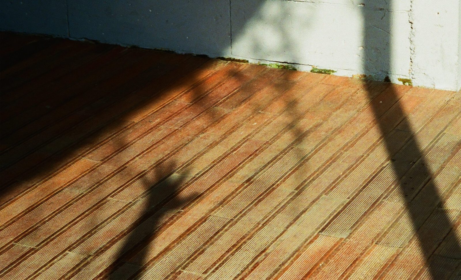 Inward: EP Liburan Dirumah untuk Semua yang Pernah Rapuh dan Ditinggalkan